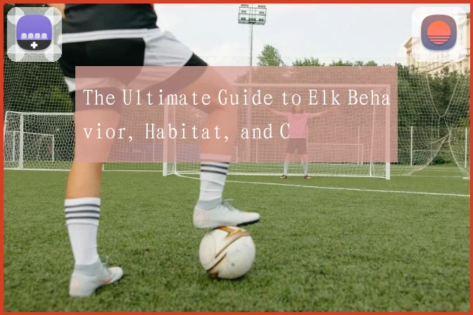 The Ultimate Guide to Elk Behavior, Habitat, and C