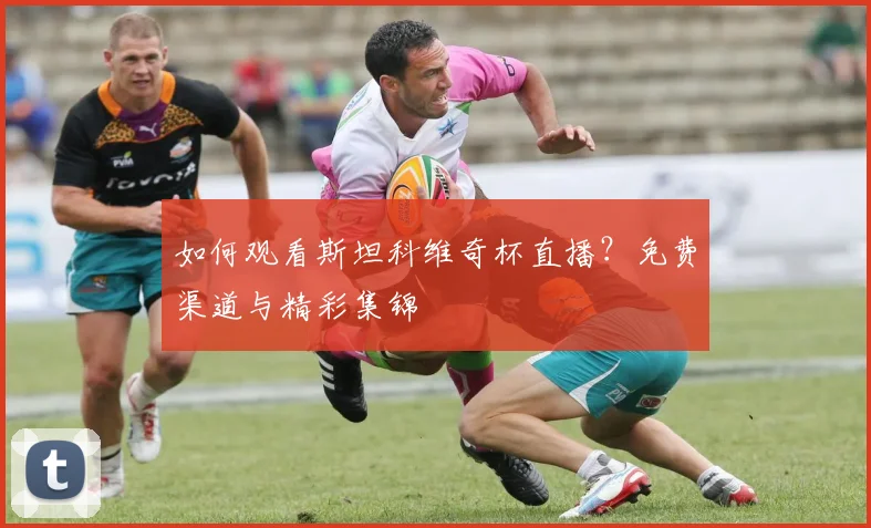 如何观看斯坦科维奇杯直播?免费渠道与精彩集锦